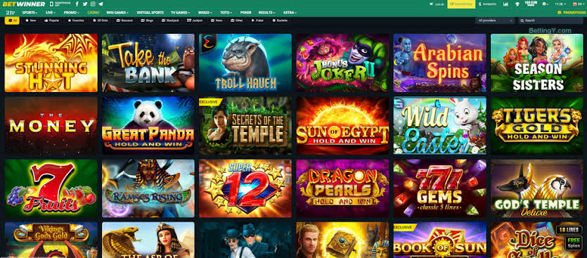 BetWinner Gambling Platform A Comprehensive Review of Features and Opportunities
